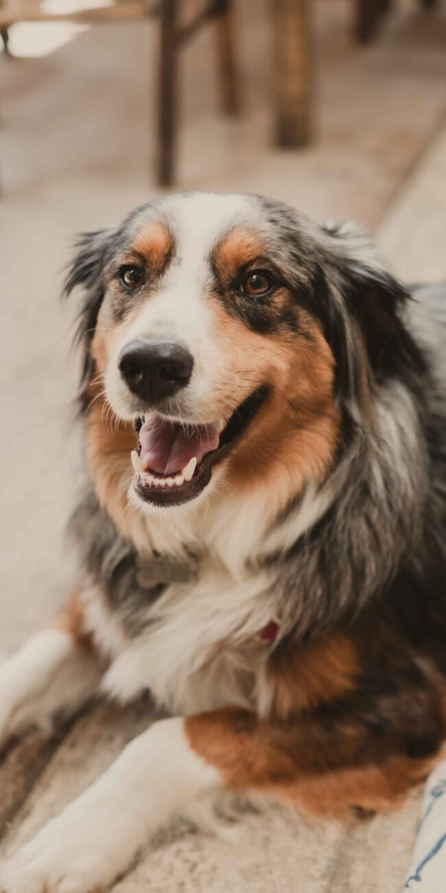 Destination Wedding in Mani Peloponnese